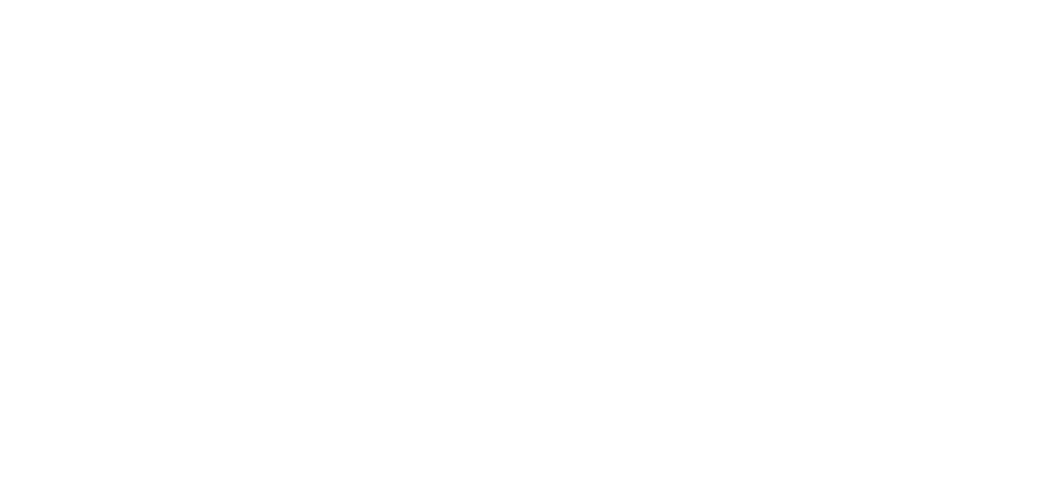 FAVN Logo White