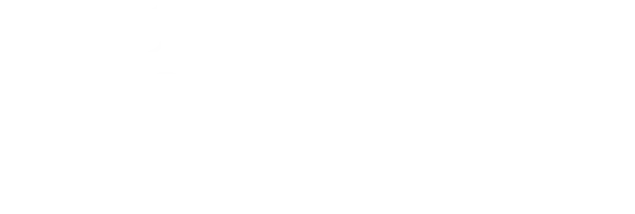 Frida Group - Logo White